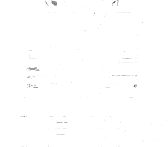 V News